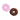 Chew Donut Play Toys - Clean Critters Pet Supply