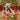 Christmas Pet Santa Hat - Clean Critters Pet Supply