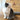 Interactive Feather and Ball Cat Toys - Clean Critters Pet Supply